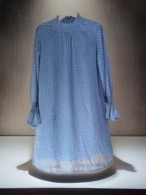 Solution Muted Blue Swiss Dot Smocked Neck & Cuff Shift Dress-S-EC